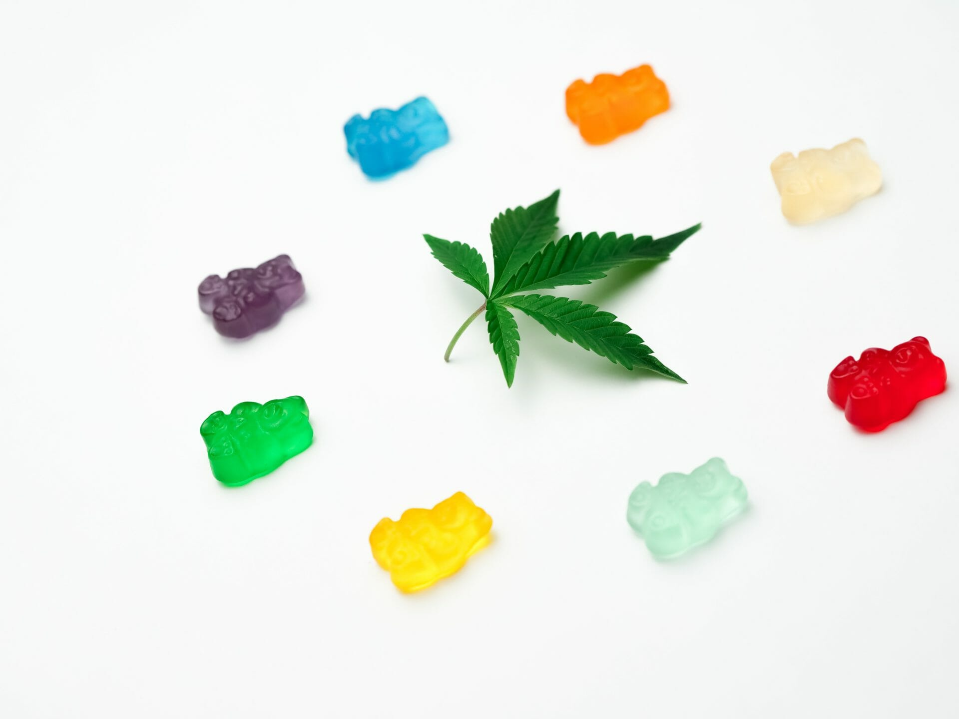 Grasslife - cannabis Dispensaries | Weed Deals Canada