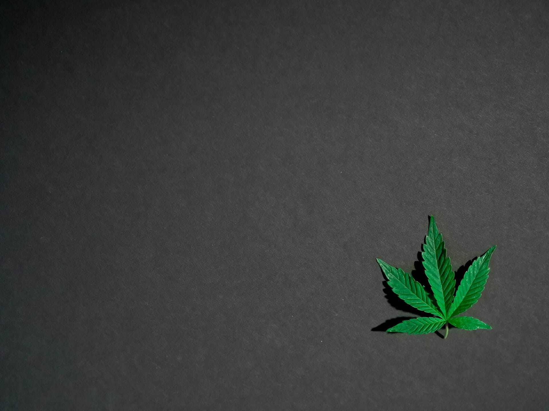Hybrid Weed | Weed Deals Canada