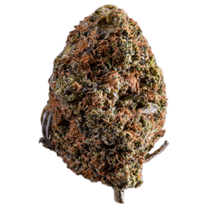 Afghan Kush | Weed Deals Canada