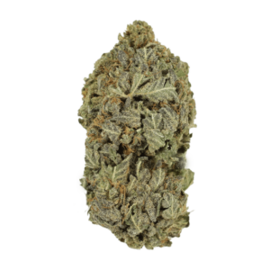 Purple Mimosa | Weed Deals Canada