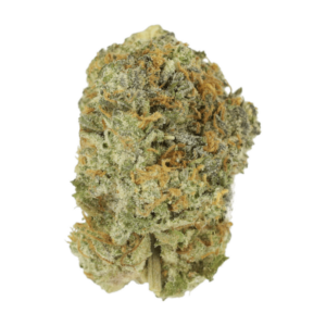 Slurricane | Weed Deals Canada