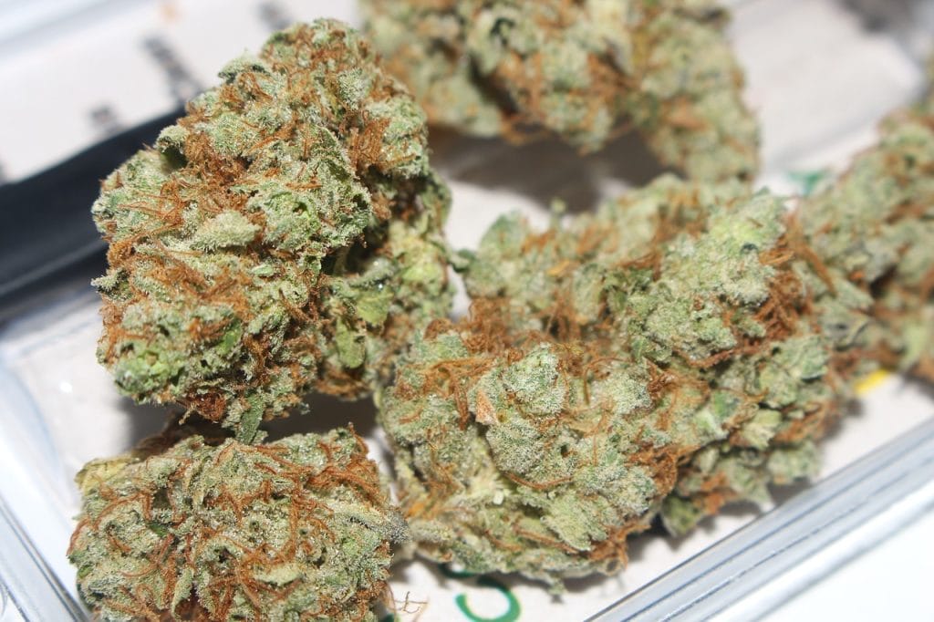 Hybrid cannabis Strains | Weed Deals Canada