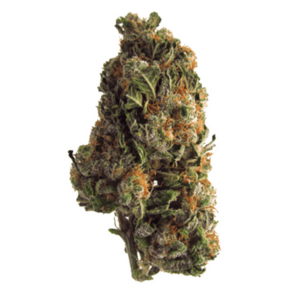 Grape Crush | Weed Deals Canada